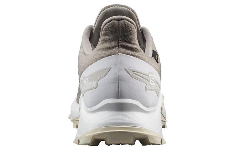 Shop Salomon Alphacross Blast GORE-TEX '棕色' 412847