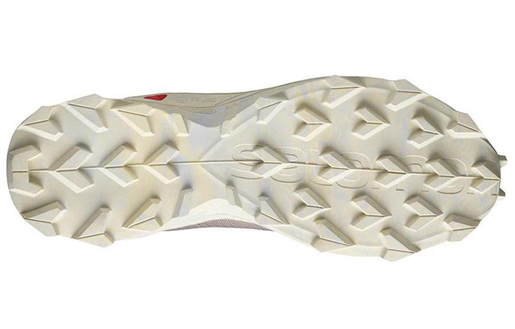 Purchase Salomon Alphacross Blast GORE-TEX '棕色' 412847
