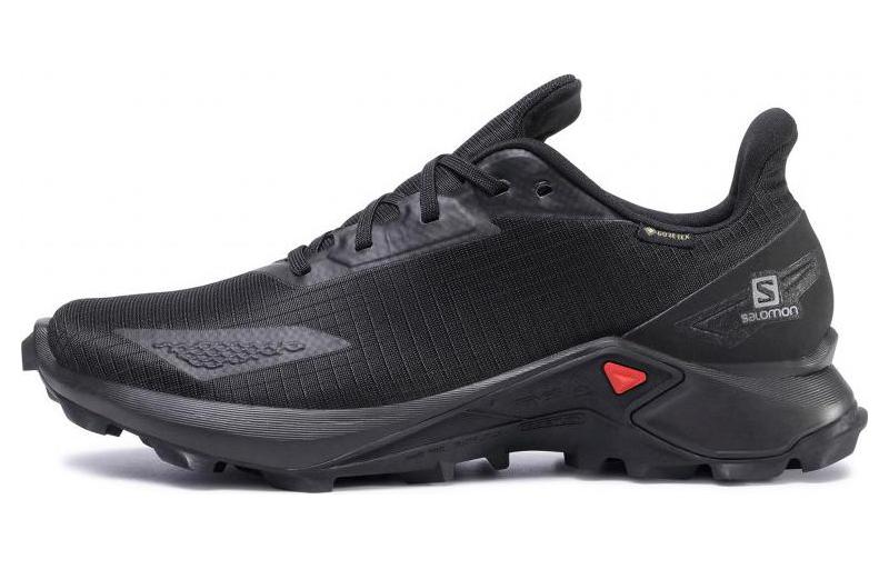 Buy Salomon Alphacross Blast GTX 'Black' 411053