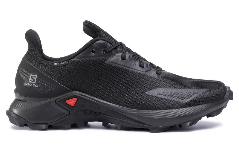 Order Salomon Alphacross Blast GTX "黑色" 411053