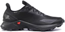 Order Salomon Alphacross Blast GTX "黑色" 411053