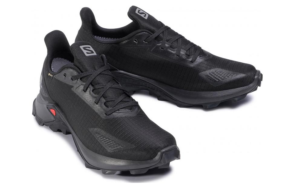 Lookbook Salomon Alphacross Blast GTX "黑色" 411053