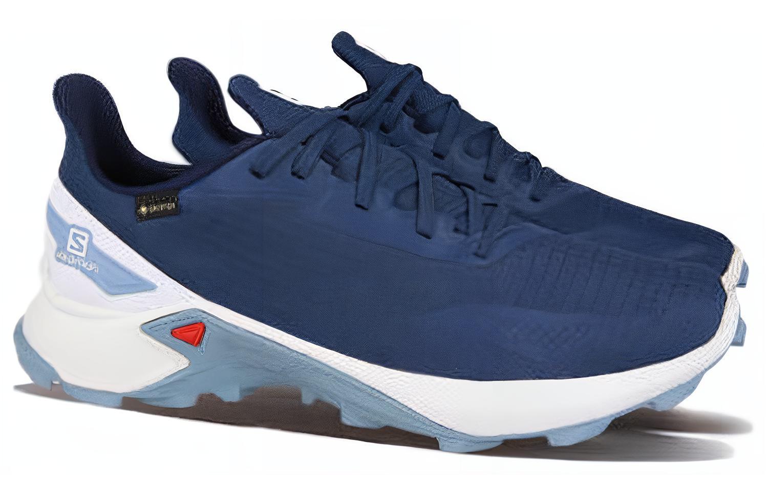 Lookbook Salomon Alphacross Blast GTX '蓝白色' 411060