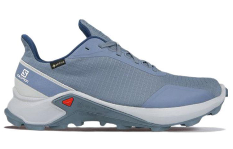Salomon Alphacross GTX 'Blue Grey' 圖 2