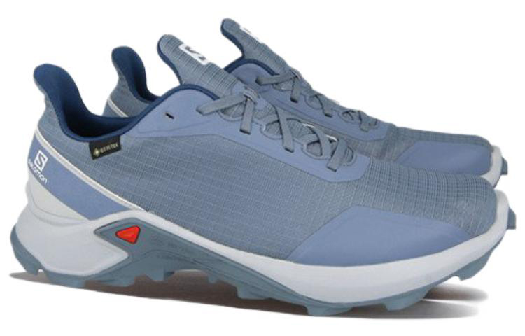 Salomon Alphacross GTX 'Blue Grey' 圖 3
