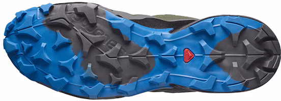 Purchase Salomon Cross Hike Gore-Tex 戶外功能鞋 黑綠藍