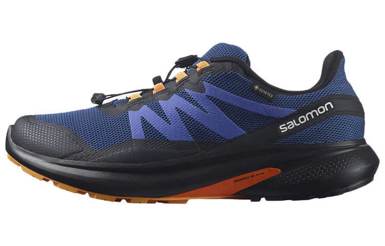 Salomon Hypulse Gore-Tex 'Blue Outdoor' 415961