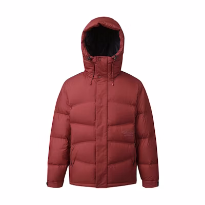 SALOMON Korea Unisex Solid Color Hooded Down Jacket Dark Red. LC2580700