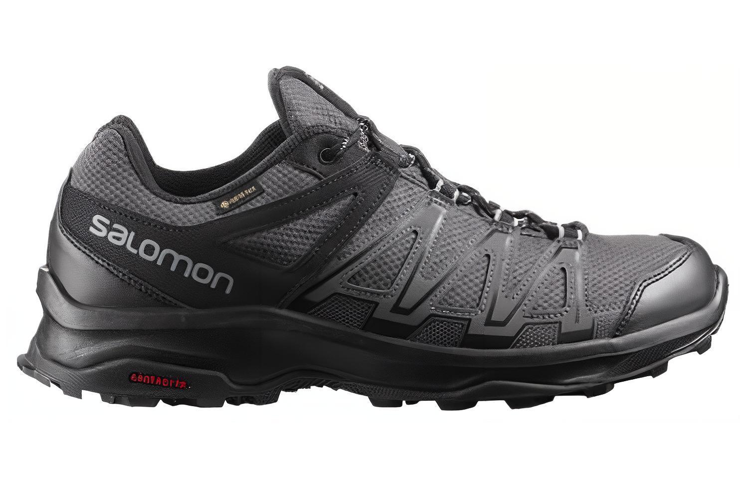 Salomon Leonis GORE-TEX 'Black CMFT' 圖 2