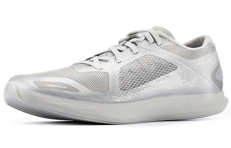 Order Salomon Phantasm Low ''Tigre Argenté'' 414581