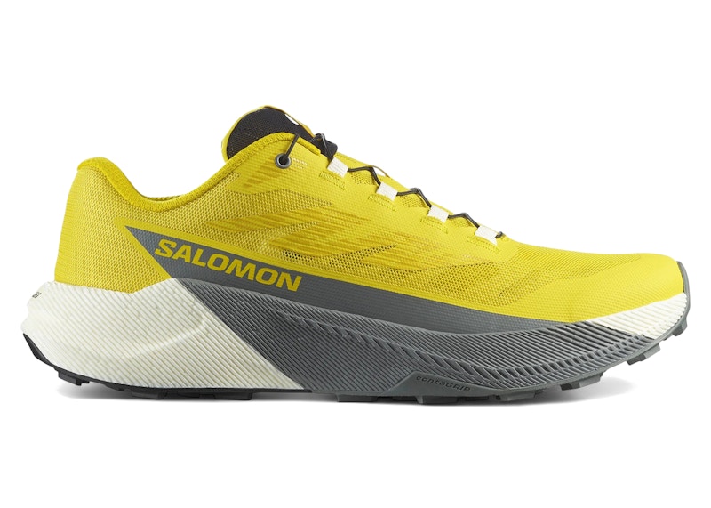 Salomon Pulsar 'Incaberry' L47973200