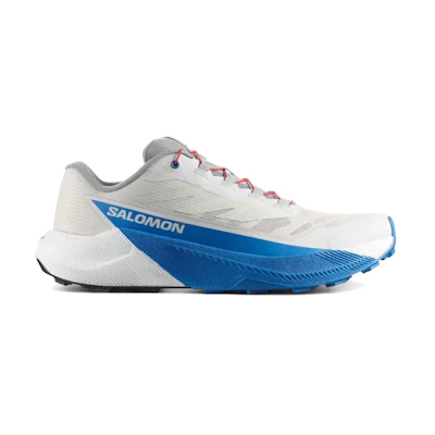Salomon Pulsar 'Lunar Rock French Blue'