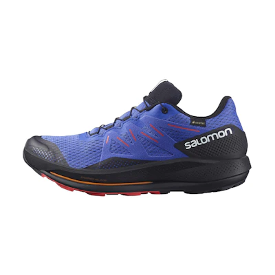 Salomon Pulsar Trail GTX 'Blue Black'