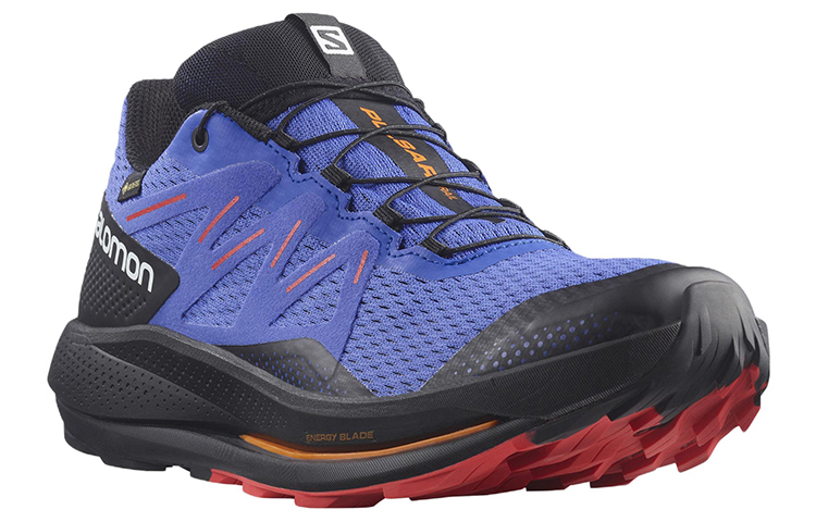 Salomon Pulsar Trail GTX 'Blue Black' 圖 2