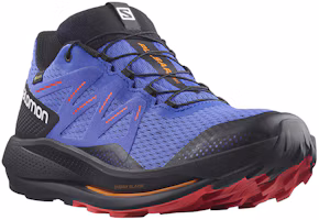 Order SALOMON薩洛門 Pulsar Trail Gore-Tex 舒適 耐磨 低筒 跑步鞋 男款 藍黑