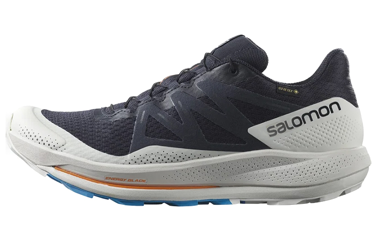 Salomon Pulsar Trail GTX 'Night Sky' 417499