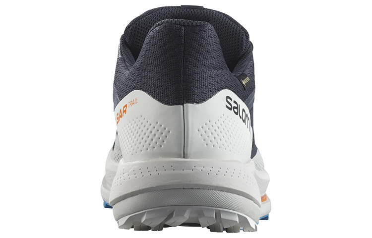 Purchase Salomon Pulsar Trail GTX ''Night Sky'' Scarpe da Trail Running 417499