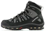 Buy Salomon Quest 4D 2 GTX Wandelschoenen 370731