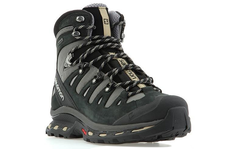 Lookbook Salomon Quest 4D 2 GTX Scarpe da Trekking Impermeabili 370731
