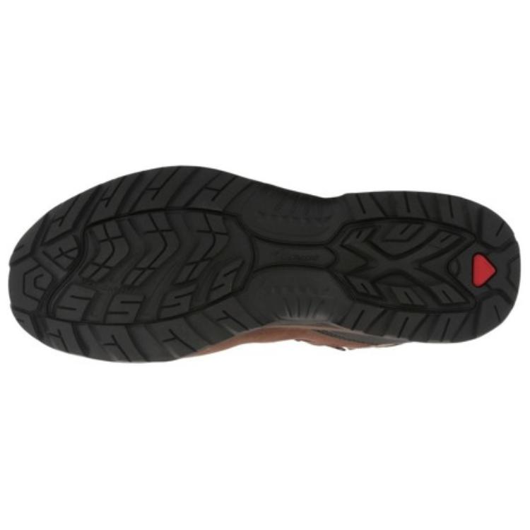 Purchase Salomon Quest 4D 2 GTX 'Gris Marrón' 392924