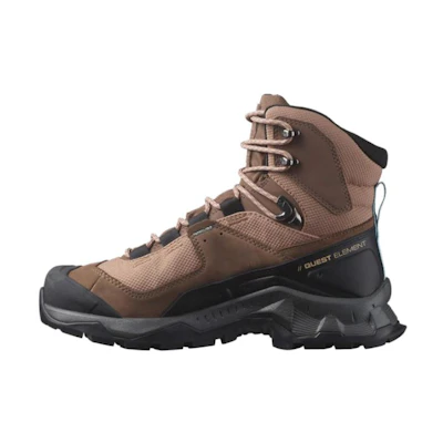 Salomon Quest 4D GTX 'Brown'