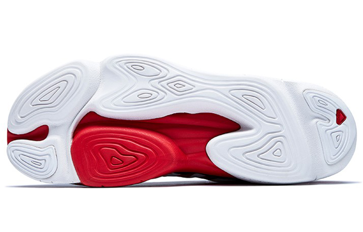 Salomon Road Feng 圖 5