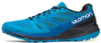 Buy Salomon Sense Escape '蓝色' 跑鞋 400919