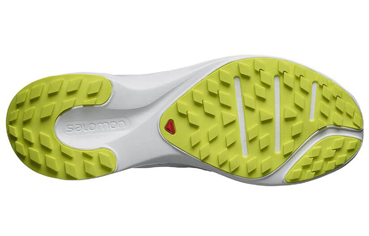 Shop Salomon Sense Flow '灰色' 跑鞋 409142
