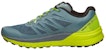 Salomon Sense Pro Max 'Kelabu Hijau' 402411