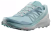 Lookbook Salomon Sense Ride 4 'Hijau' 413054