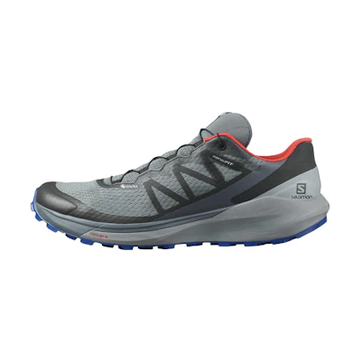 Salomon Sense Ride 4 GTX 'Invisible Fit Grey'