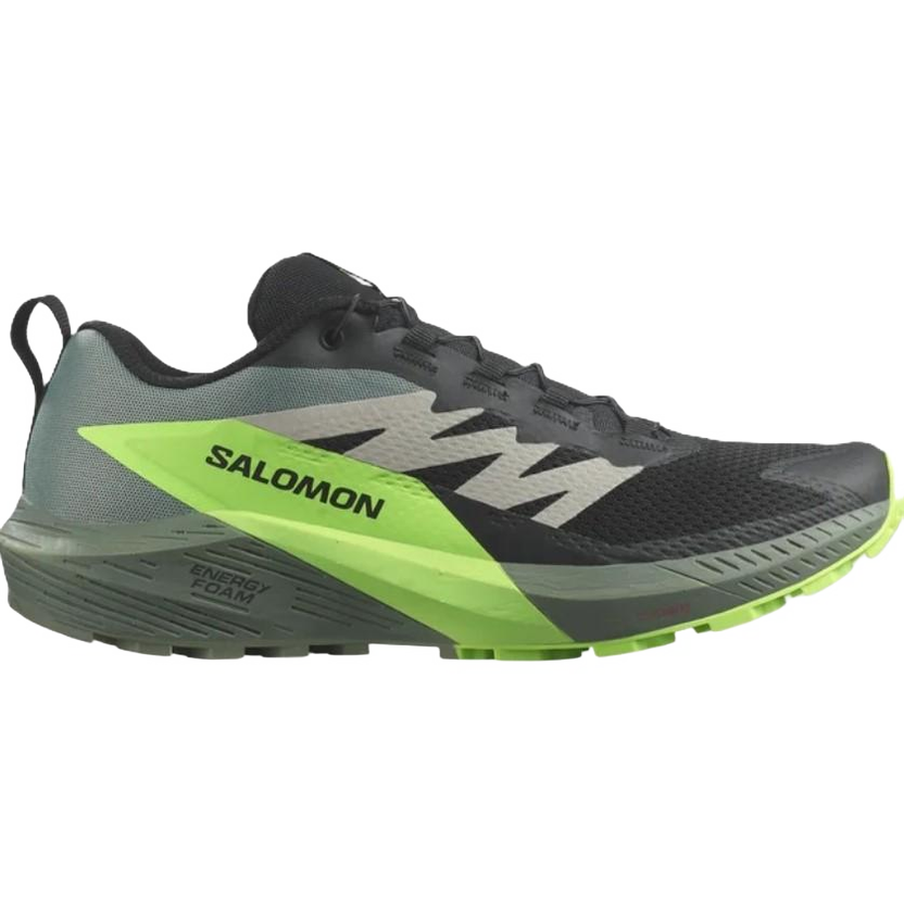Salomon Sense Ride 5 'Black Green Gecko' L47311100