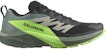 Salomon Sense Ride 5 'Black Green Gecko' L47311100