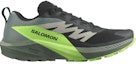 Buy Salomon Sense Ride 5 'Black Green Gecko' L47311100
