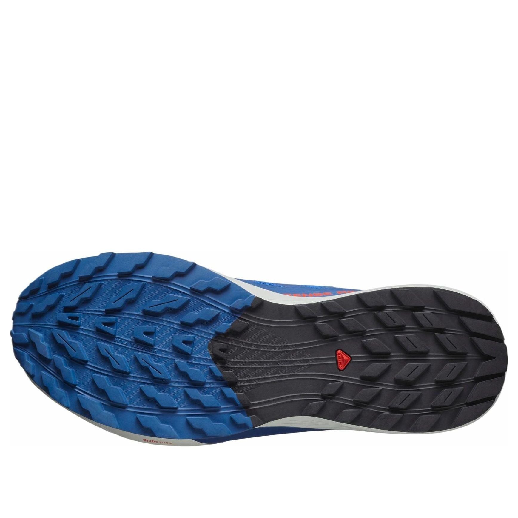 Shop 萨洛蒙 Sense Ride 5 '法式蓝' 478086