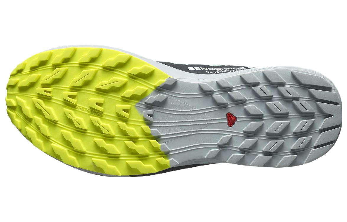 Purchase サロモン SENSE RIDE 5 グリーン/ピンク L47234300