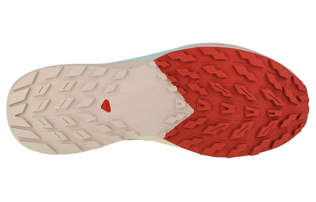 Shop 萨洛蒙 Sense Ride 5 '百合垫雨天' 472117-/-L47211700