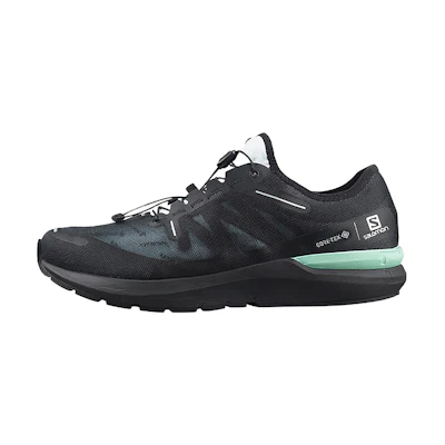 Salomon Sonic 4 GTX 'Black CMFT'