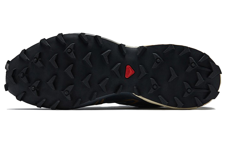 Purchase Salomon Speedcross 3 ''Gris'' 414660