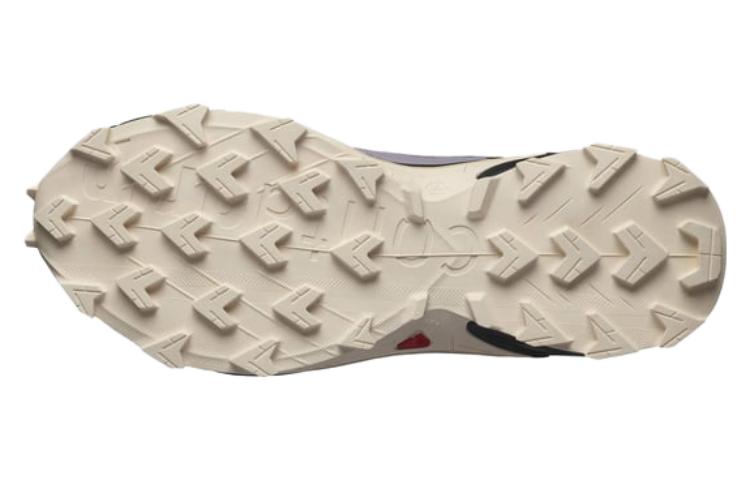 Shop Salomon Speedcross 4 'Ungu' L47205200