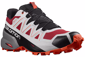 Order Salomon Speedcross 5 GTX ''Noir Gris Rouge'' 415637