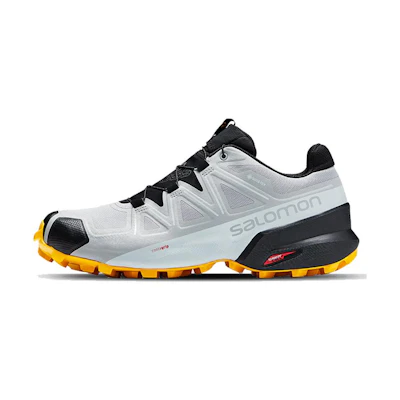 Salomon Speedcross 5 GTX 'Gray Black'