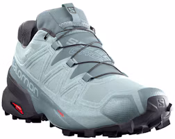 Order Salomon Speedcross 5 GTX ''Gris Bleu'' 413094