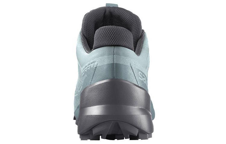 Shop Salomon Speedcross 5 GTX ''Gris Bleu'' 413094