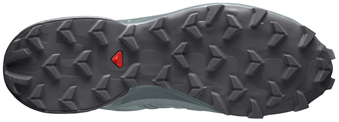 Salomon Speedcross 5 GTX ''Gris Bleu'' 413094 Purchase Salomon Speedcross 5 GTX ''Gris Bleu'' 413094