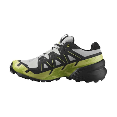 Salomon Speedcross 6 GTX 'Gray Green Black'
