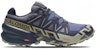Salomon Speedcross 6 GORE-TEX 'Grisaille Tea' L47465500