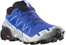 Lookbook Salomon Speedcross 6 Gore-Tex 'Biru' 417388