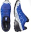 Shop Salomon Speedcross 6 Gore-Tex 'Biru' 417388