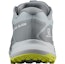 Shop Salomon Speedcross 'Kelabu' 414308